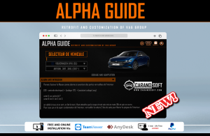 ALPHA GUIDE For VAG GROUP (HIDDEN OPTIONS)
