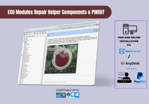 ECU Modules Repair Helper Components & PINOUT