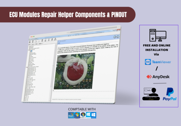 ECU Modules Repair Helper Components & PINOUT