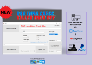 DSG IMMO CHECK KILLER IMMO OFF